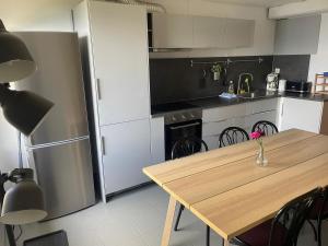 Kuchyň nebo kuchyňský kout v ubytování Appartment Emosson + 5 fotografií