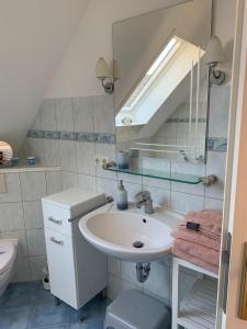 a bathroom with a sink and a mirror and a toilet at Waldhaus Frohsinn in Heringsdorf