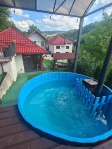 Φωτογραφία από το άλμπουμ του Pensiunea Daniela σε Moisei