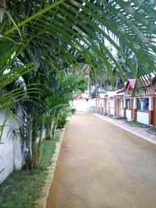 AnaimalaiRoyal Cottage & Party Hall的一条棕榈树成荫的街道，街道两旁有一栋建筑