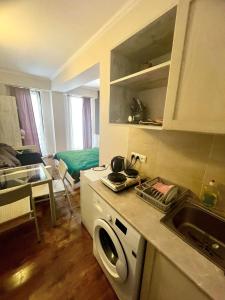 eine Küche mit Spüle und Waschmaschine in der Unterkunft Mgzavrebi Bakuriani in Bakuriani