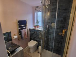 Un baño con inodoro y ducha de cristal. en Fishermans Locker, en Bridport