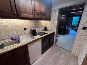 a kitchen with a sink and a counter top at Kreidl Top 13 in Königsleiten +3 photos