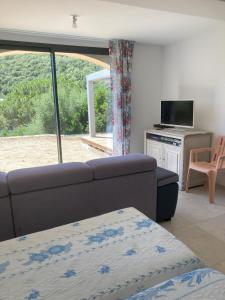 TV a/nebo společenská místnost v ubytování M&M Medori à Mocali