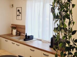 Η κουζίνα ή μικρή κουζίνα στο Rose Garden House