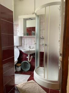 a bathroom with a shower and a toilet and a sink at Ivaa in Nova Varoš +18 photos
