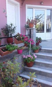 Gallery image of Armonia Studios in Anaxos