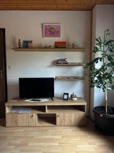 TV a/nebo společenská místnost v ubytování Apartment Jelena