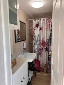 a bathroom with a sink and a shower curtain at Maryland Vendégház in Bogács +10 photos