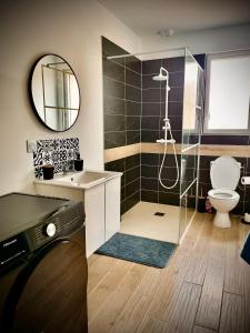 a bathroom with a shower and a toilet and a sink at KALME Spa&Sauna - Maison avec Spa et Sauna privatifs in Chécy +17 photos