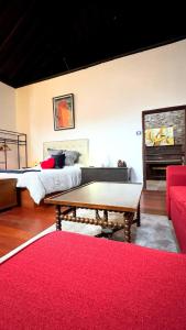 a living room with a bed and a red rug at Caletn Gara Charming Farmhouse in Garachico, Tenerife Perfect Retreat in Garachico +28 photos