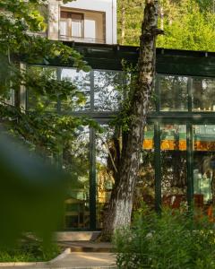 a tree in front of a glass building at Villa Wellness in Debar