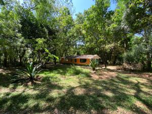 Κήπος έξω από το Forests for People, Nidikumba HomeStay