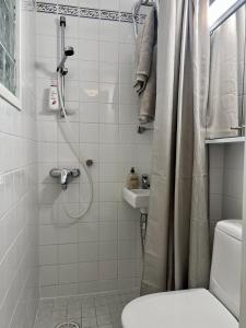a bathroom with a shower with a toilet and a sink at Lauttasaari Studio in Helsinki