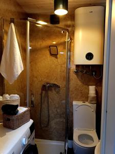 un baño con ducha y WC en Wisla66 Domki nad Wisłą Piotrawin,  37 fotos más