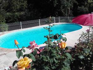 Una piscina con una sombrilla morada y algunas flores. en Domaine du Vern, en Saint-Affrique