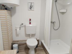 a bathroom with a toilet and a shower at Dömper Döme Apartman in Balatonlelle +10 photos