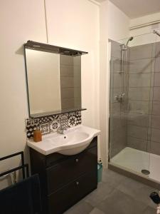a bathroom with a sink and a shower at Le repos de Turenne in Sedan