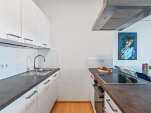 Kuchyň nebo kuchyňský kout v ubytování Niko's Luxury Penthouse Apartments - District 3 + 24 fotografií