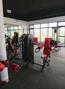 Fitness centrum a/nebo fitness zařízení v ubytování Tribeca View