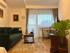 Posezení v ubytování Studio PANORAMIC with Balcony and Parcul Unirii view