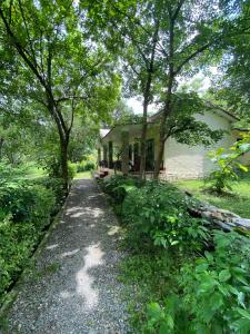 O grădină în afara The Harikanta Corbett Resort