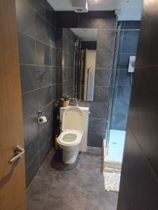 a bathroom with a toilet and a shower at Luxury City Center Apartment in Liverpool