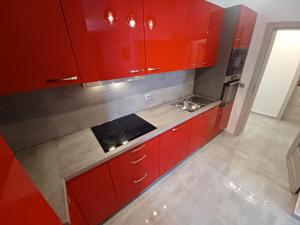Kuchyň nebo kuchyňský kout v ubytování Vile Park Apartments