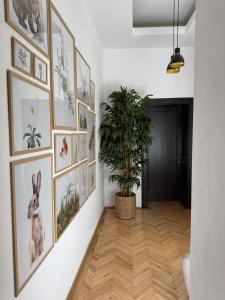 Φωτογραφία από το άλμπουμ του Nature-Inspired Stay in Piata Sfatului Brasov στο Μπρασόβ