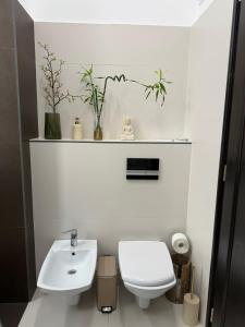 a bathroom with a white toilet and a sink at Nature-Inspired Stay in Piata Sfatului Brasov in Braşov