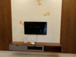 TV a/nebo společenská místnost v ubytování silent view service apartment