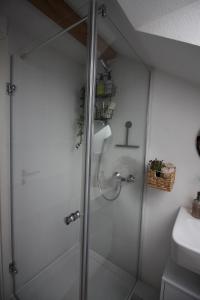 a shower with a glass door in a bathroom at Ferienwohnung Flott in Marktoberdorf +6 photos