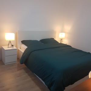 a bedroom with a large bed with two lamps at Studio cosy, quartier canal Saint-Martin in Paris