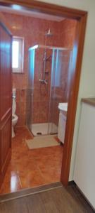 a bathroom with a shower and a toilet at Apartmani Volme in Banjole +47 photos