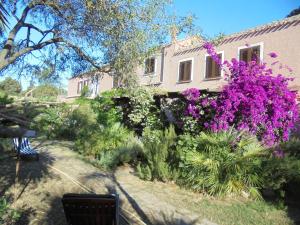 A garden outside La Fattoria Delle Tartarughe