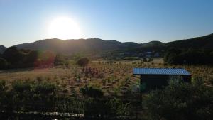 a farm with a shed in the middle of a field at Orchard Guard Tower in Ivanaj