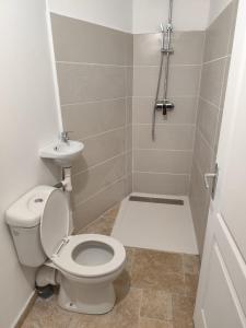 un bagno con wc, lavandino e doccia di Alambic de Grand Anse a Petite-Île
