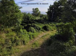 Paesaggio naturale nelle vicinanze dell'appartamento