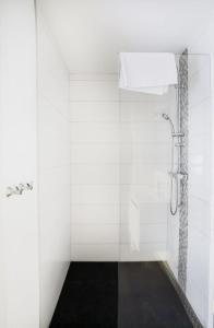 a shower in a bathroom with a glass wall at 302 Le Spot Neuvice in Liège