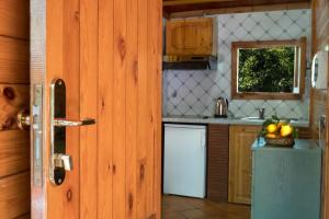 a kitchen with a refrigerator and a sink and a door at Residence Villaggio Verde in Sorrento