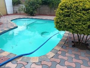 a swimming pool with a hose in a yard at Desita La' Guesthouse in Rustenburg +17 photos