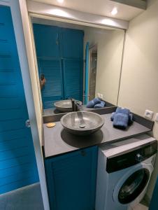 a bathroom with a sink and a washing machine at La Kaz a lò in Le Diamant