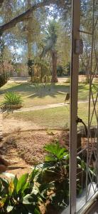 a window view of a park with a palm tree at Olive rest in Wesselsbron