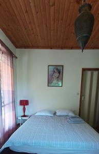 a bed in a bedroom with a wooden ceiling at Cute House with mountain views 