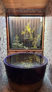 Galeriebild der Unterkunft 一棟貸切の和風プライベートヴィラ プール花火バーベキュー in Fukutsu