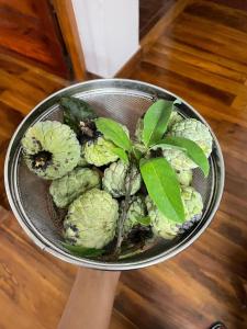 a person holding a pot with a plant in it at Bindas in Trivandrum