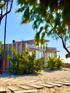 a house on the beach with trees at Ribera Del Norte Bungalows in Canoas