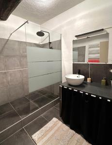 ヴェゾン・ラ・ロメーヌにあるLe Cosy de Montfortの洗面台と鏡のあるバスルーム