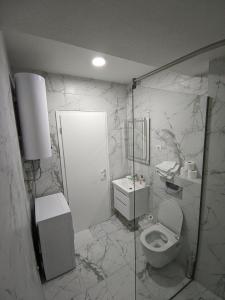 ブドヴァにあるApartman Mina, Bečići - Budvaのトイレと洗面台付きのバスルーム