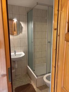 ein Badezimmer mit Dusche, Waschbecken und Toilette in der Unterkunft Ludwina Żegleń Pokoje Gościnne in Małe Ciche + 25 Fotos